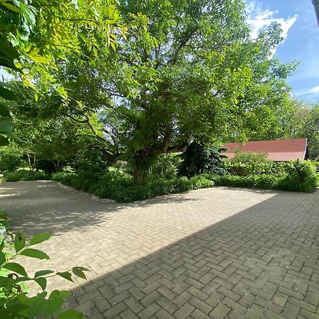 Racz Birtok Lajosmizse公寓 外观 照片
