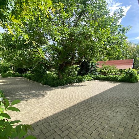 Racz Birtok Lajosmizse公寓 外观 照片